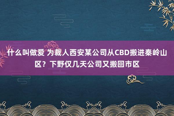 什么叫做爱 为裁人西安某公司从CBD搬进秦岭山区？下野仅几天公司又搬回市区