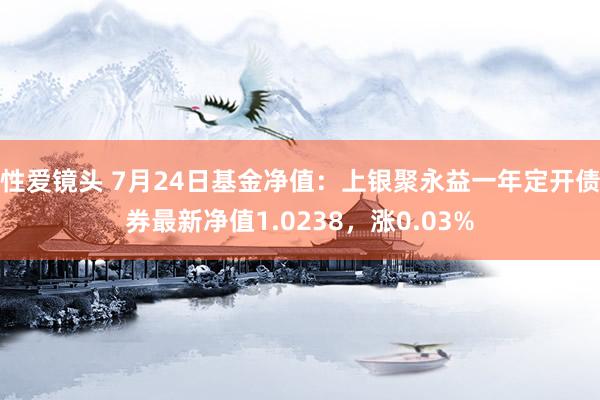 性爱镜头 7月24日基金净值：上银聚永益一年定开债券最新净值1.0238，涨0.03%