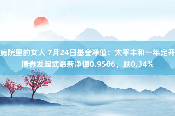 庭院里的女人 7月24日基金净值：太平丰和一年定开债券发起式最新净值0.9506，跌0.34%