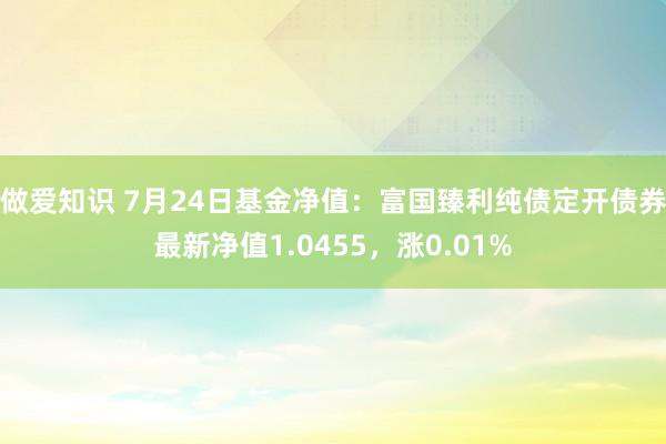 做爱知识 7月24日基金净值：富国臻利纯债定开债券最新净值1.0455，涨0.01%