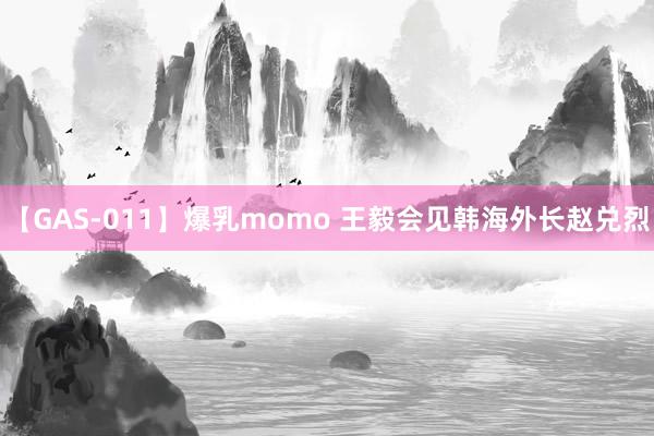 【GAS-011】爆乳momo 王毅会见韩海外长赵兑烈