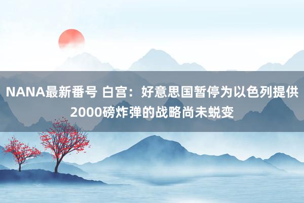 NANA最新番号 白宫：好意思国暂停为以色列提供2000磅炸弹的战略尚未蜕变