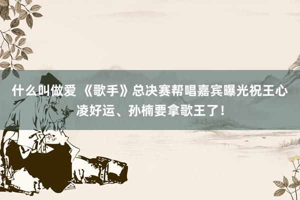 什么叫做爱 《歌手》总决赛帮唱嘉宾曝光祝王心凌好运、孙楠要拿歌王了！