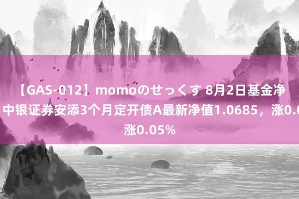 【GAS-012】momoのせっくす 8月2日基金净值：中银证券安添3个月定开债A最新净值1.0685，涨0.05%