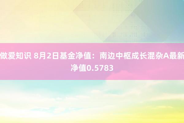 做爱知识 8月2日基金净值：南边中枢成长混杂A最新净值0.5783