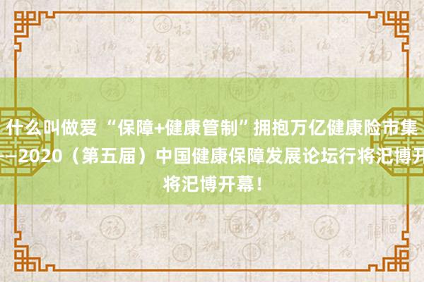 什么叫做爱 “保障+健康管制”拥抱万亿健康险市集！ ——2020（第五届）中国健康保障发展论坛行将汜博开幕！