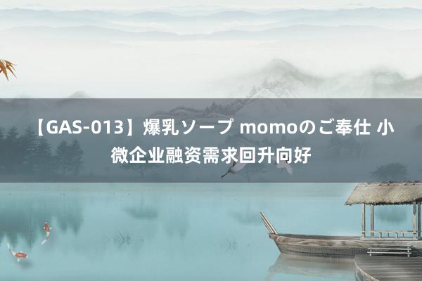 【GAS-013】爆乳ソープ momoのご奉仕 小微企业融资需求回升向好