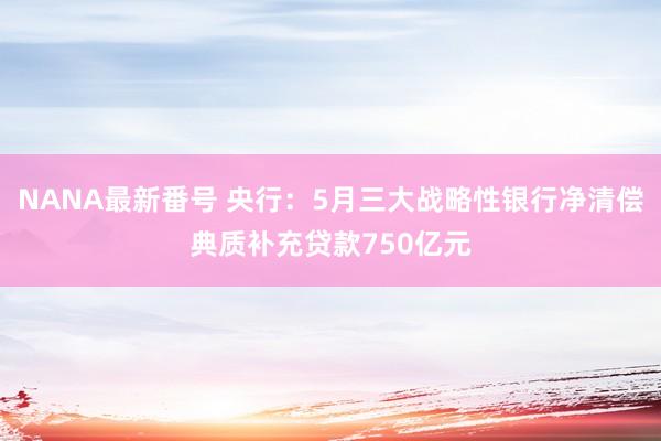 NANA最新番号 央行：5月三大战略性银行净清偿典质补充贷款750亿元