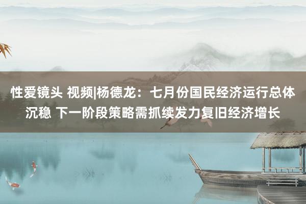 性爱镜头 视频|杨德龙：七月份国民经济运行总体沉稳 下一阶段策略需抓续发力复旧经济增长