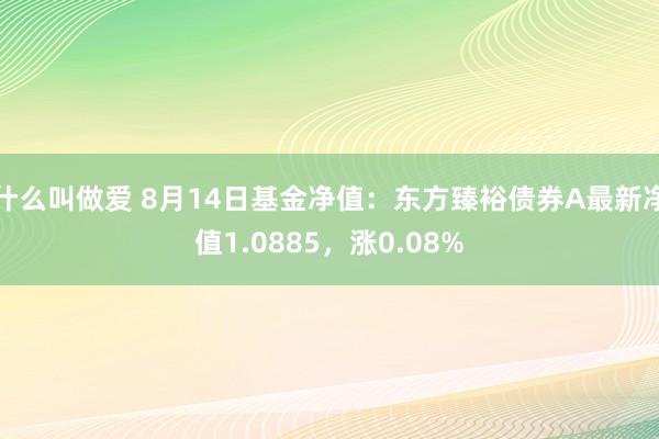 什么叫做爱 8月14日基金净值：东方臻裕债券A最新净值1.0885，涨0.08%