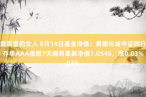 庭院里的女人 8月14日基金净值：景顺长城中证同行存单AAA指数7天握有最新净值1.0546，涨0.03%