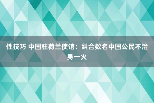 性技巧 中国驻荷兰使馆：纠合数名中国公民不治身一火