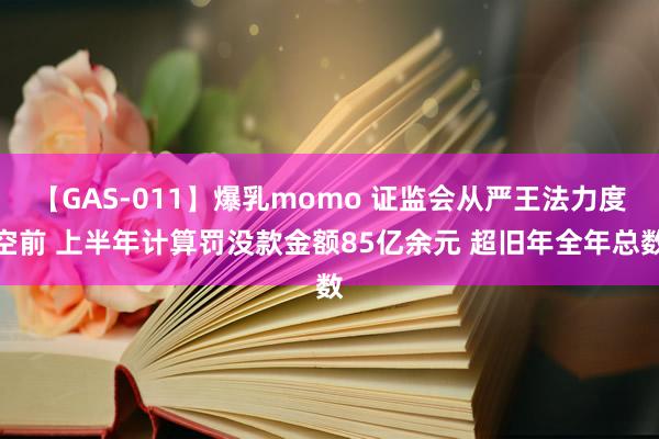 【GAS-011】爆乳momo 证监会从严王法力度空前 上半年计算罚没款金额85亿余元 超旧年全年总数