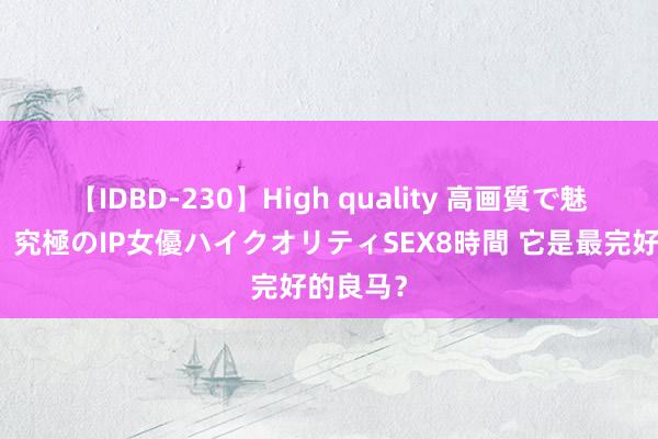 【IDBD-230】High quality 高画質で魅せます！究極のIP女優ハイクオリティSEX8時間 它是最完好的良马？