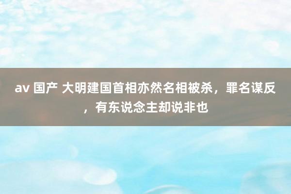 av 国产 大明建国首相亦然名相被杀，罪名谋反，有东说念主却说非也