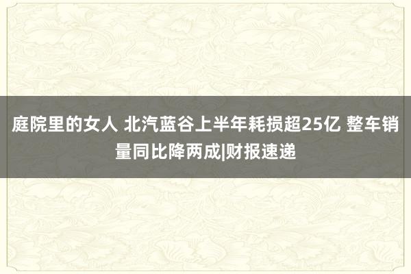 庭院里的女人 北汽蓝谷上半年耗损超25亿 整车销量同比降两成|财报速递