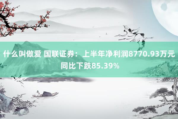 什么叫做爱 国联证券：上半年净利润8770.93万元 同比下跌85.39%