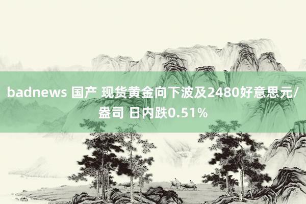 badnews 国产 现货黄金向下波及2480好意思元/盎司 日内跌0.51%