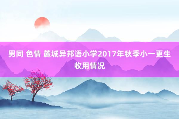 男同 色情 麓城异邦语小学2017年秋季小一更生收用情况